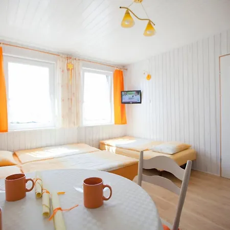 U Emilii Goscinne Homestay *